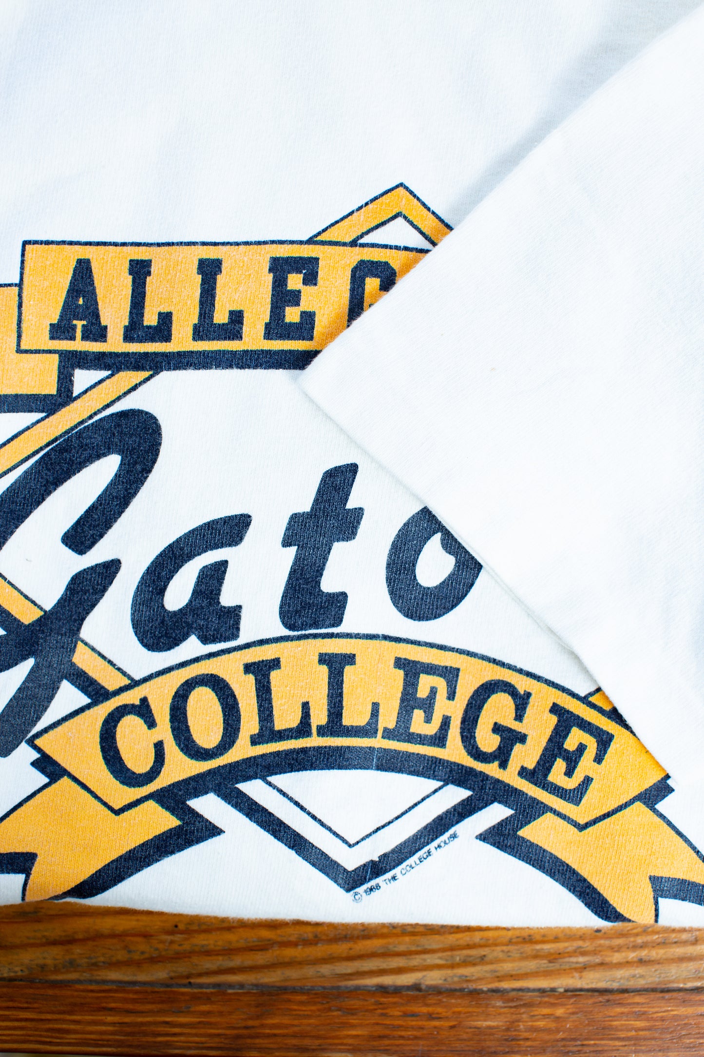 Vintage Allegheny College Gators T-shirt from 1986 Size L