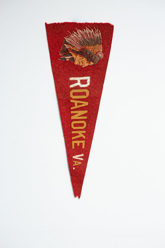 Vintage Roanoke VA. pennant