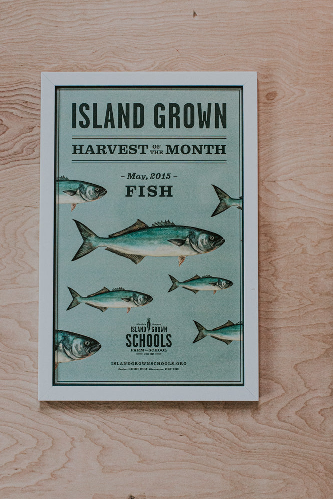 Island Grown School 2015 poster