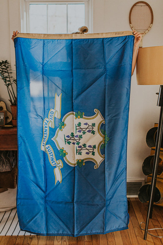 Vintage Nyl-Glo CT Flag