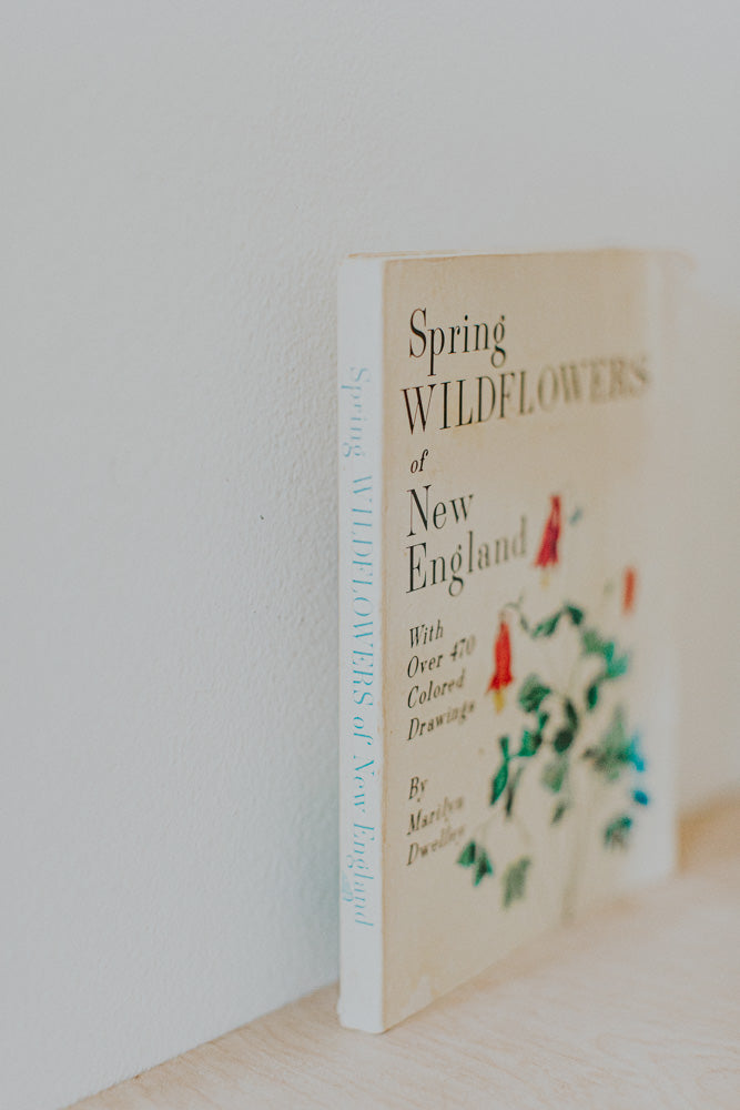 Spring Wildflowers fo New England book
